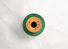 Load image into Gallery viewer, Belding Corticelli Pure Silk Thread: Green (#4234 F)
